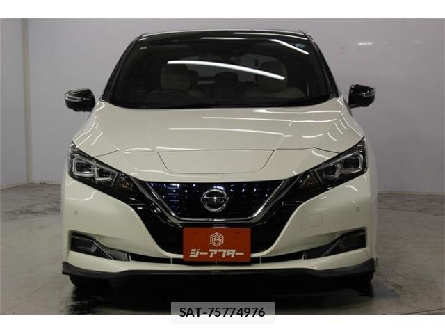 Nissan LEAF 2020-02 8485616-1