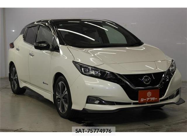 Nissan LEAF 2020-02 8485616-2