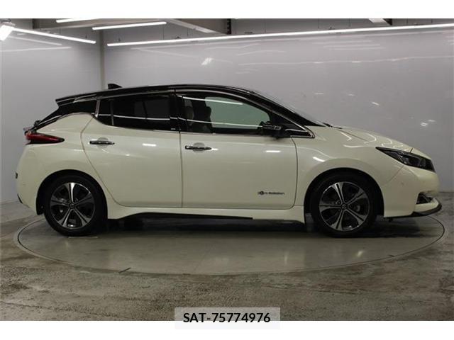 Nissan LEAF 2020-02 8485616-3