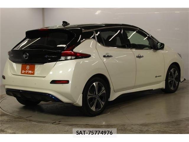 Nissan LEAF 2020-02 8485616-4