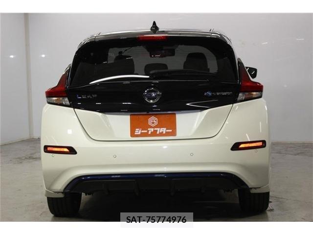 Nissan LEAF 2020-02 8485616-5