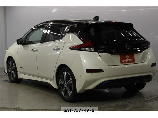 Nissan LEAF 2020-02 8485616-6