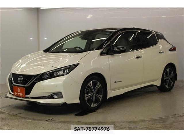 Nissan LEAF 2020-02 8485616-8