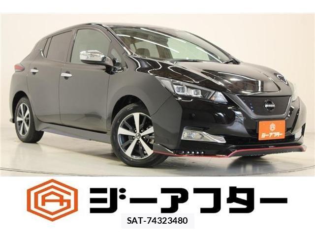 Nissan LEAF 2019-08 8525454-0