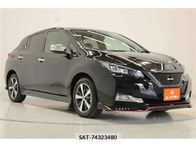 Nissan LEAF 2019-08 8525454-6