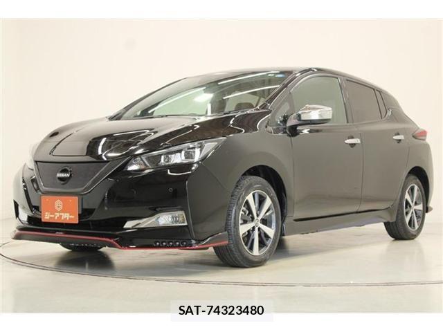 Nissan LEAF 2019-08 8525454-8