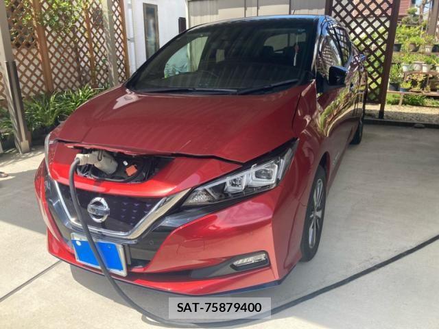 Nissan LEAF 2019-02 8525459-1