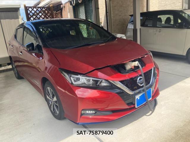 Nissan LEAF 2019-02 8525459-2
