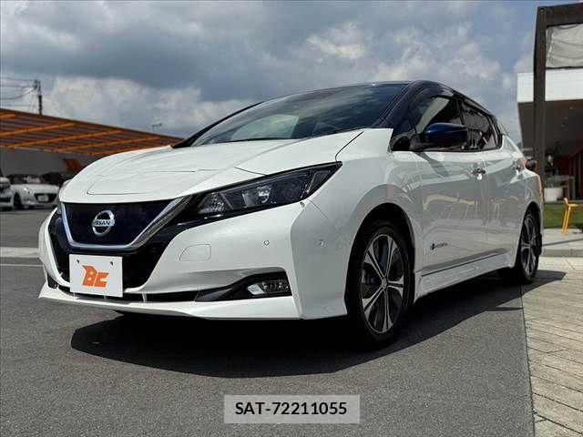 Nissan LEAF 2018-01 8525457-9
