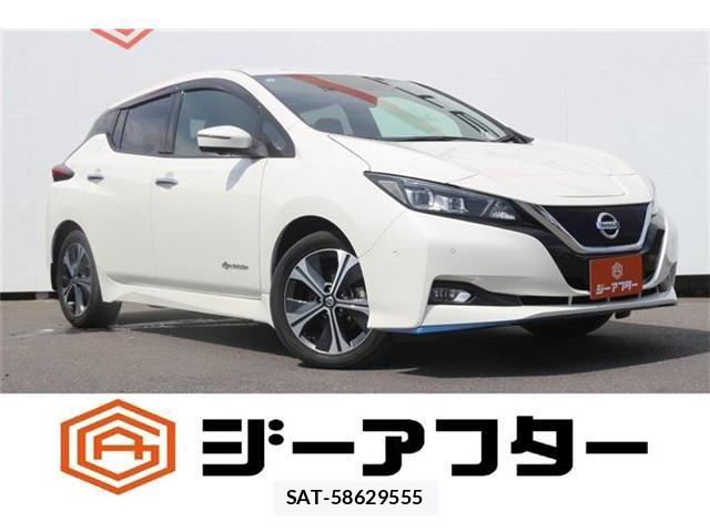 Nissan LEAF 2019-04 8525458-0