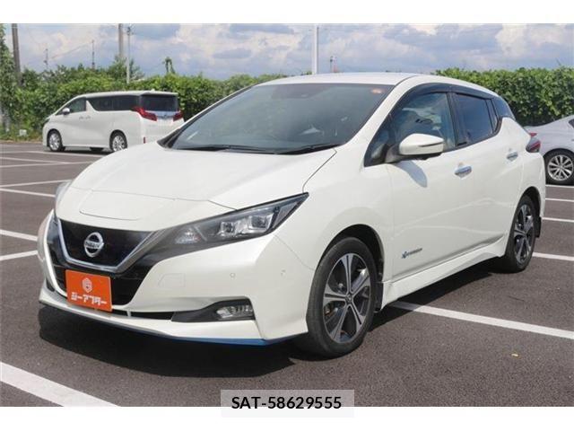 Nissan LEAF 2019-04 8525458-8