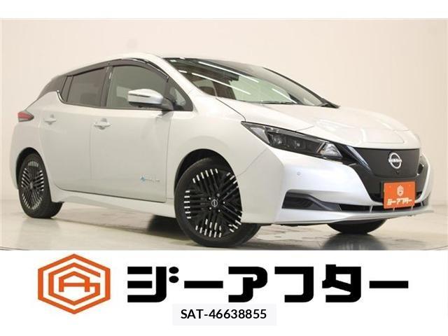 Nissan LEAF 2022-06 8562360-0