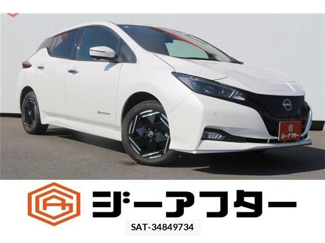 Nissan LEAF 2022-07 8562358-0
