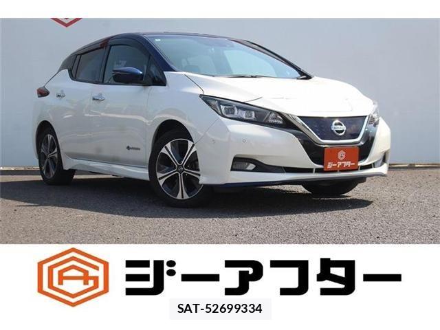 Nissan LEAF 2020-10 8562361-0