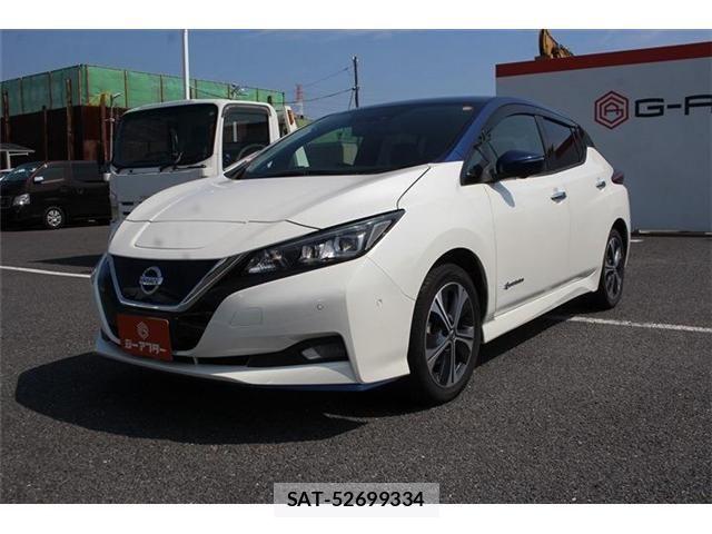 Nissan LEAF 2020-10 8562361-9