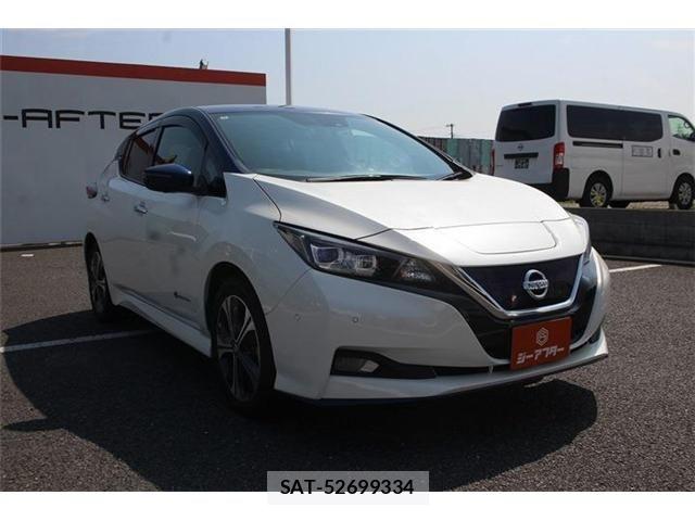 Nissan LEAF 2020-10 8562361-7