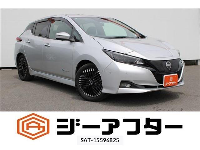Nissan LEAF 2023-01 8627405-0