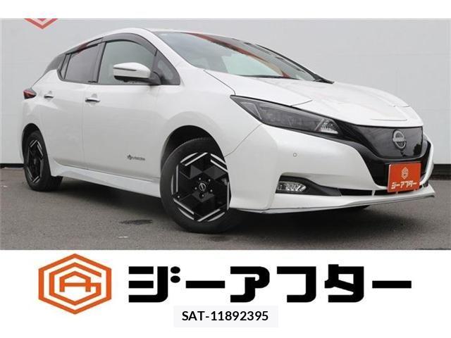 Nissan LEAF 2022-06 8627406-0