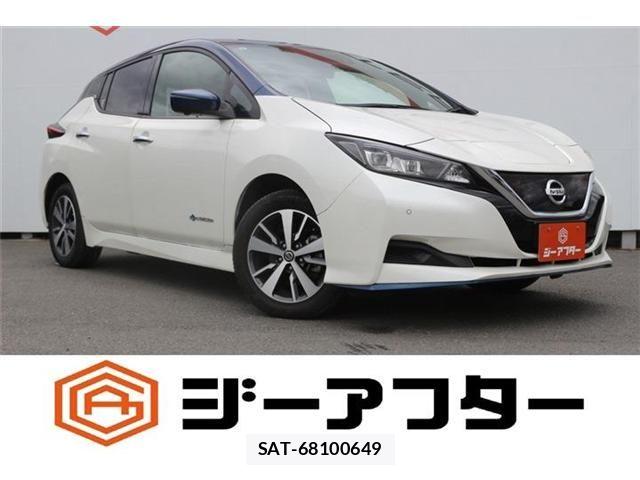 Nissan LEAF 2019-08 8627409-0