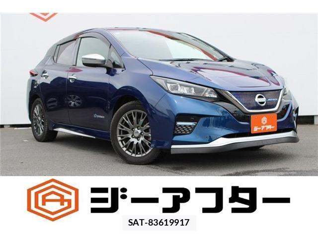 Nissan LEAF 2019-09 8659815-0