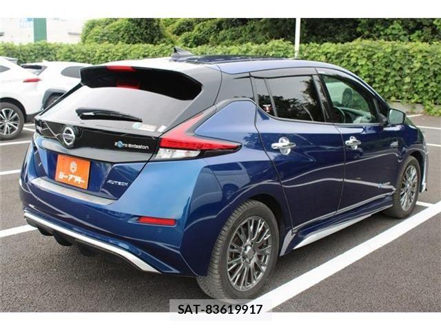 Nissan LEAF 2019-09 8659815-9