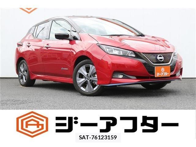 Nissan LEAF 2021-12 8659812-0