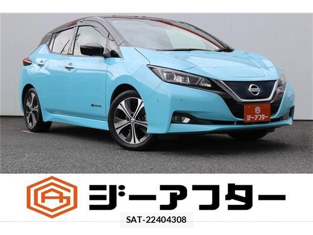 Nissan LEAF 2018-05 8666362-0