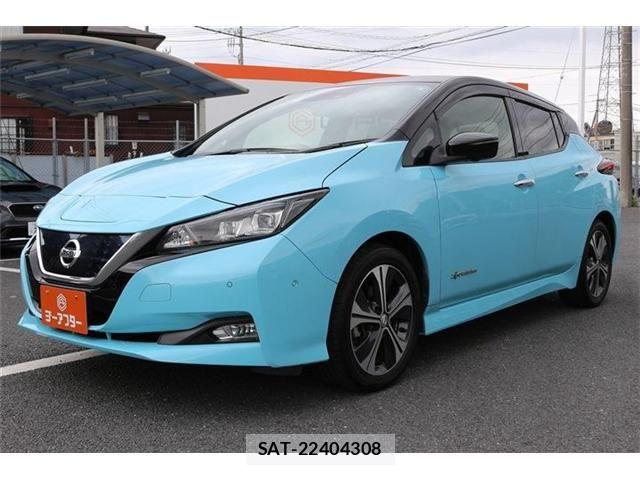Nissan LEAF 2018-05 8666362-22