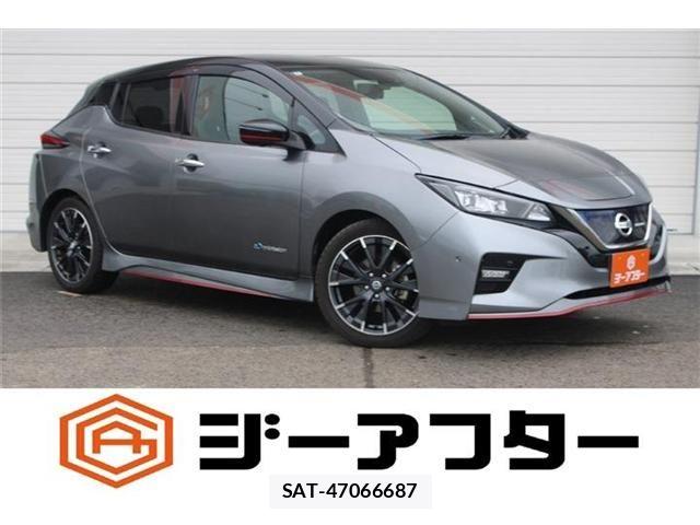 Nissan LEAF 2018-09 8659823-0