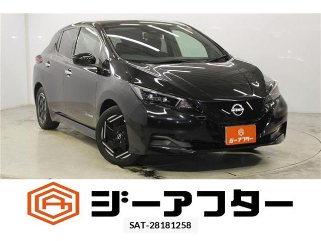 Nissan LEAF 2022-06 8659818-0