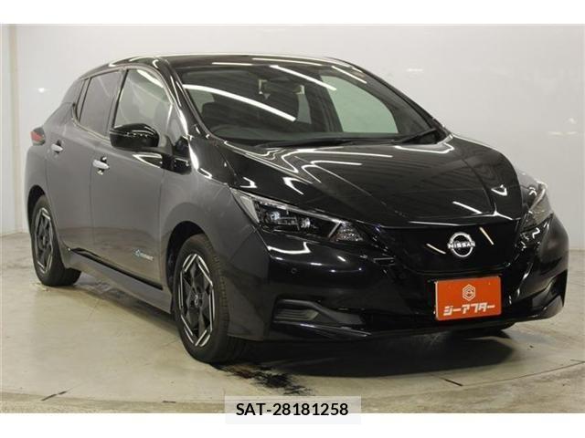 Nissan LEAF 2022-06 8659818-2