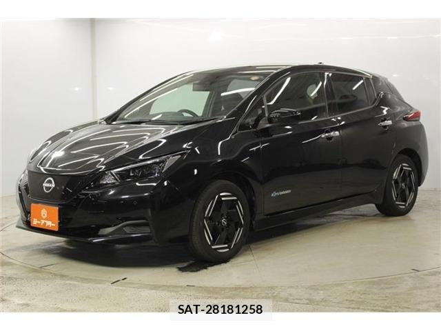 Nissan LEAF 2022-06 8659818-8