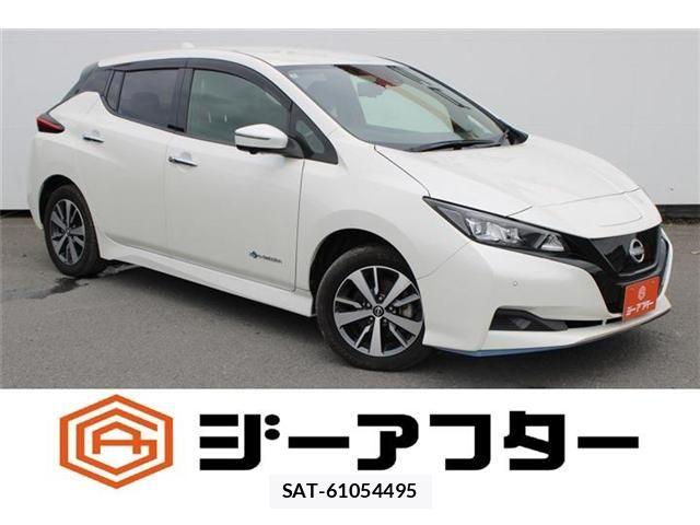Nissan LEAF 2022-03 8666361-0