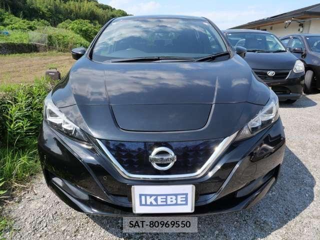 Nissan LEAF 2019-06 8659826-2