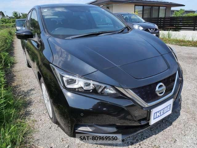 Nissan LEAF 2019-06 8659826-3