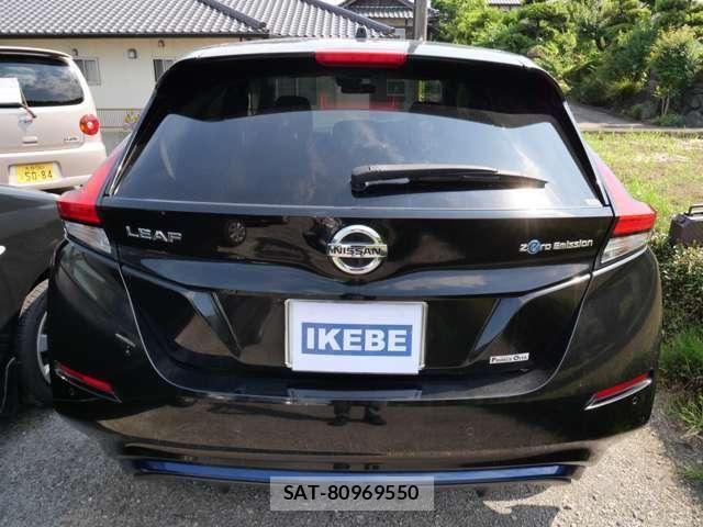 Nissan LEAF 2019-06 8659826-5