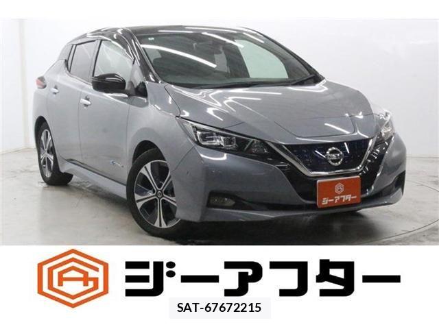 Nissan LEAF 2020-02 8666363-0