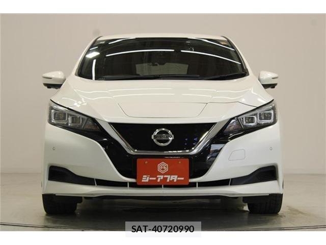 Nissan LEAF 2020-07 8659821-6