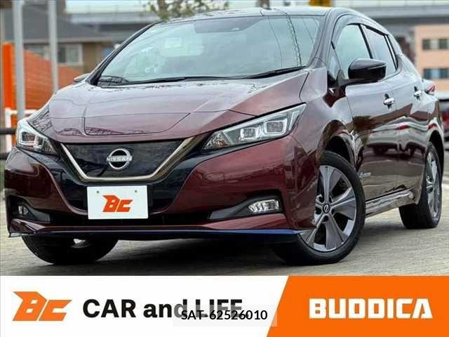Nissan LEAF 2021-06 8659814-0