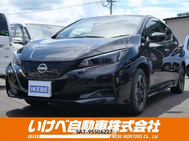 Nissan LEAF 2022-07 8685809-0