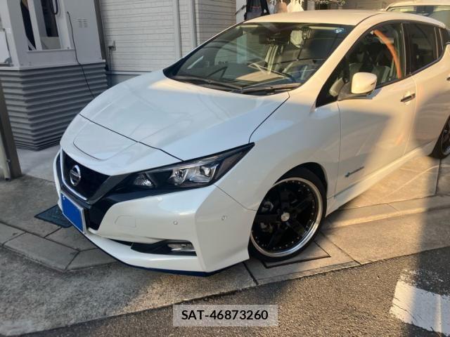 Nissan LEAF 2019-06 8685812-0