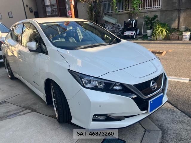 Nissan LEAF 2019-06 8685812-2