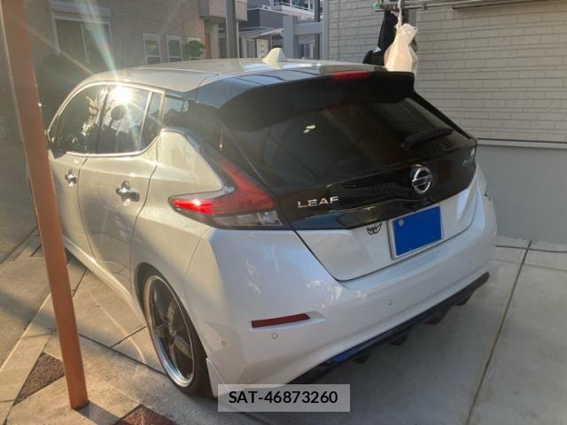 Nissan LEAF 2019-06 8685812-4