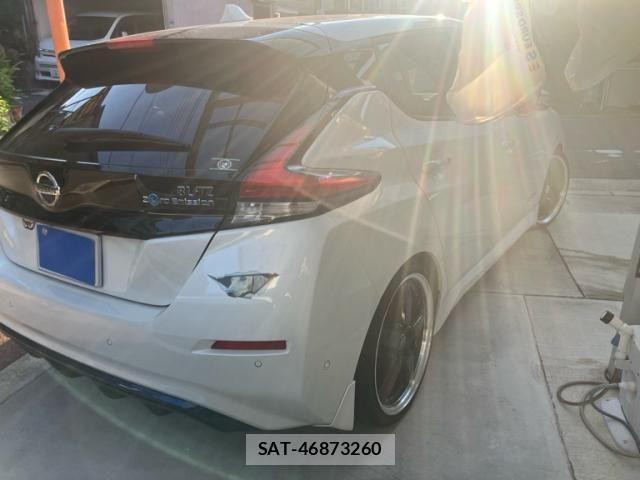 Nissan LEAF 2019-06 8685812-6