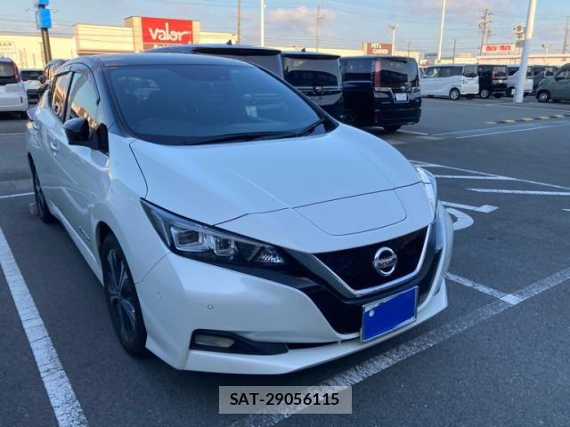 Nissan LEAF 2020-02 8685813-0