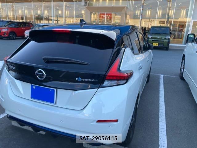 Nissan LEAF 2020-02 8685813-5