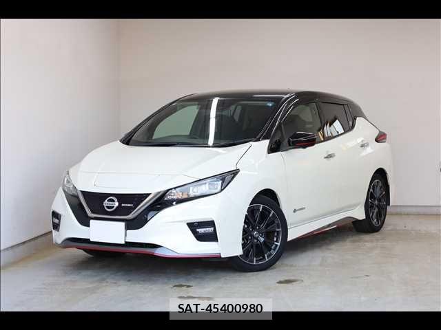 Nissan LEAF 2019-05 8685810-0