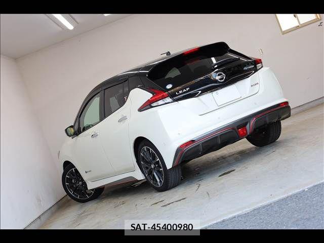 Nissan LEAF 2019-05 8685810-10
