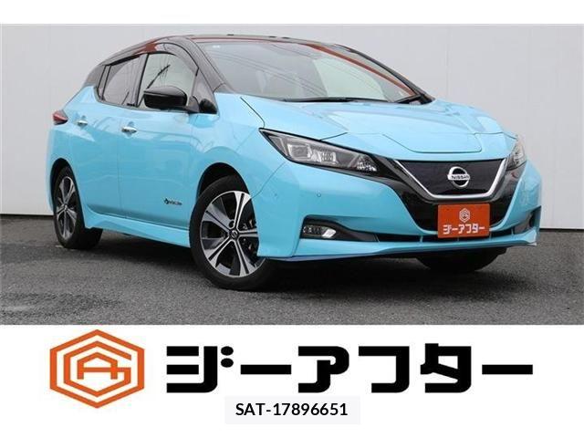 Nissan LEAF 2019-09 8743254-0