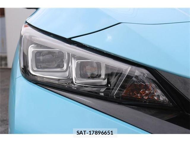 Nissan LEAF 2019-09 8743254-11
